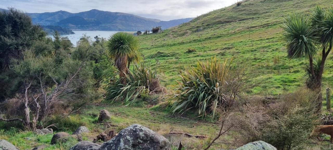 Manaaki Mai, Rustic Retreat Bush Cabin Christchurch Exterior foto
